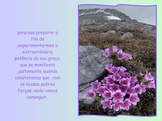 para nos preparar a
       fim de
 experimentarmos a
   extraordinária
potência da sua graça,
  que se manifesta
 justamente quando
constatamos que, com
  as nossas pobres
 forças, nada vamos
     conseguir.
 