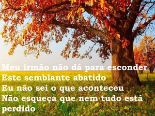 Meu irmão não dá para esconder
Este semblante abatido
Eu não sei o que aconteceu
Não esqueça que nem tudo está
perdido
 