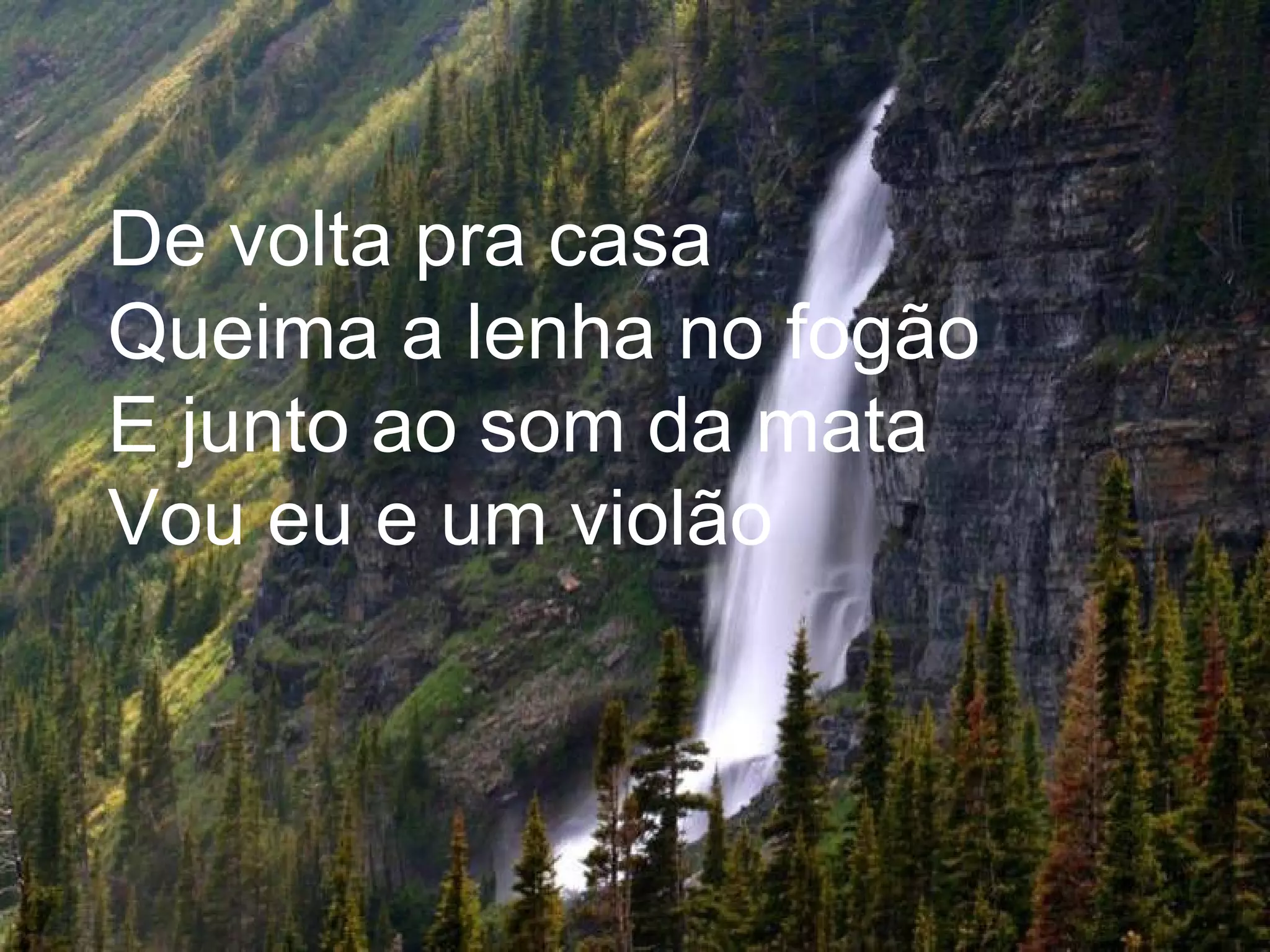 De volta pra casa Queima a lenha no fogão E junto ao som da mata Vou eu e um violão  