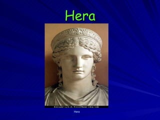 Hera Hera 