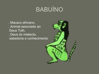 BABUÍNO
. Macaco africano.
. Animal associado ao
Deus Toth.
. Deus do intelecto,
sabedoria e conhecimento
 