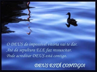 O DEUS do impossível vitória vai te dar.
Até da sepultura ELE faz ressuscitar.
Pode acreditar DEUS está contigo.
DEUS ESTÁ CONTIGO!
 