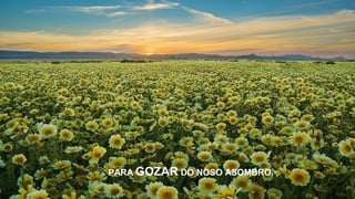 PARA GOZAR DO NOSO ASOMBRO.
 