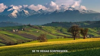 SE TE DEIXAS SORPRENDER.
 