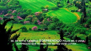 SE, DE FEITO, XA ANDAS SORPRENDIDO POLAS MIL E UNHA
SORPRESAS QUE TE ASALTAN NO TEU VIVIR COTIÁN…
 