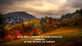 DE SILVEIRA ARDENDO OU NUBE OPACA OU
LUMINOSA.
DE PAN, DE VINO. DE HUMANO.
 
