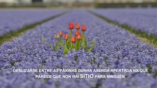 DESLIZARSE ENTRE AS PÁXINAS DUNHA AXENDA APERTADA NA QUE
PARECE QUE NON HAI SITIO PARA NINGUÉN.
 