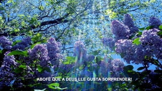 ABOFÉ QUE A DEUS LLE GUSTA SORPRENDER!
 