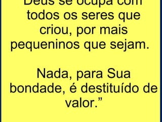 “Deus se ocupa com 
todos os seres que 
criou, por mais 
pequeninos que sejam. 
Nada, para Sua 
bondade, é destituído de 
valor.” 
 