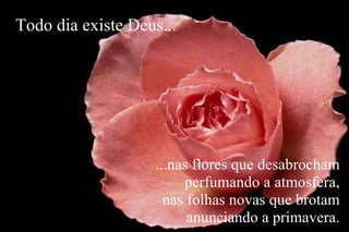 ...nas flores que desabrocham perfumando a atmosfera, nas folhas novas que brotam anunciando a primavera. Todo dia existe Deus... 