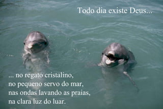 Todo dia existe Deus...




... no regato cristalino,
no pequeno servo do mar,
nas ondas lavando as praias,
na clara luz do luar.
 