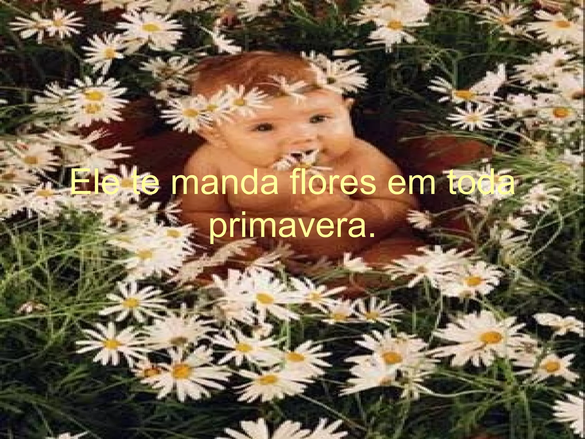 Ele te manda flores em toda primavera.