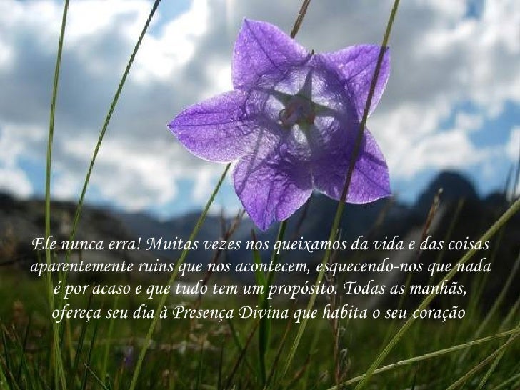 Deus Nunca Erra Deus Nunca Erra