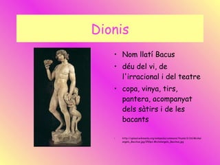 Dionis Nom llatí Bacus déu del vi, de l'irracional i del teatre copa, vinya, tirs, pantera, acompanyat dels sàtirs i de les bacants http://upload.wikimedia.org/wikipedia/commons/thumb/2/2d/Michelangelo_Bacchus.jpg/250px-Michelangelo_Bacchus.jpg 