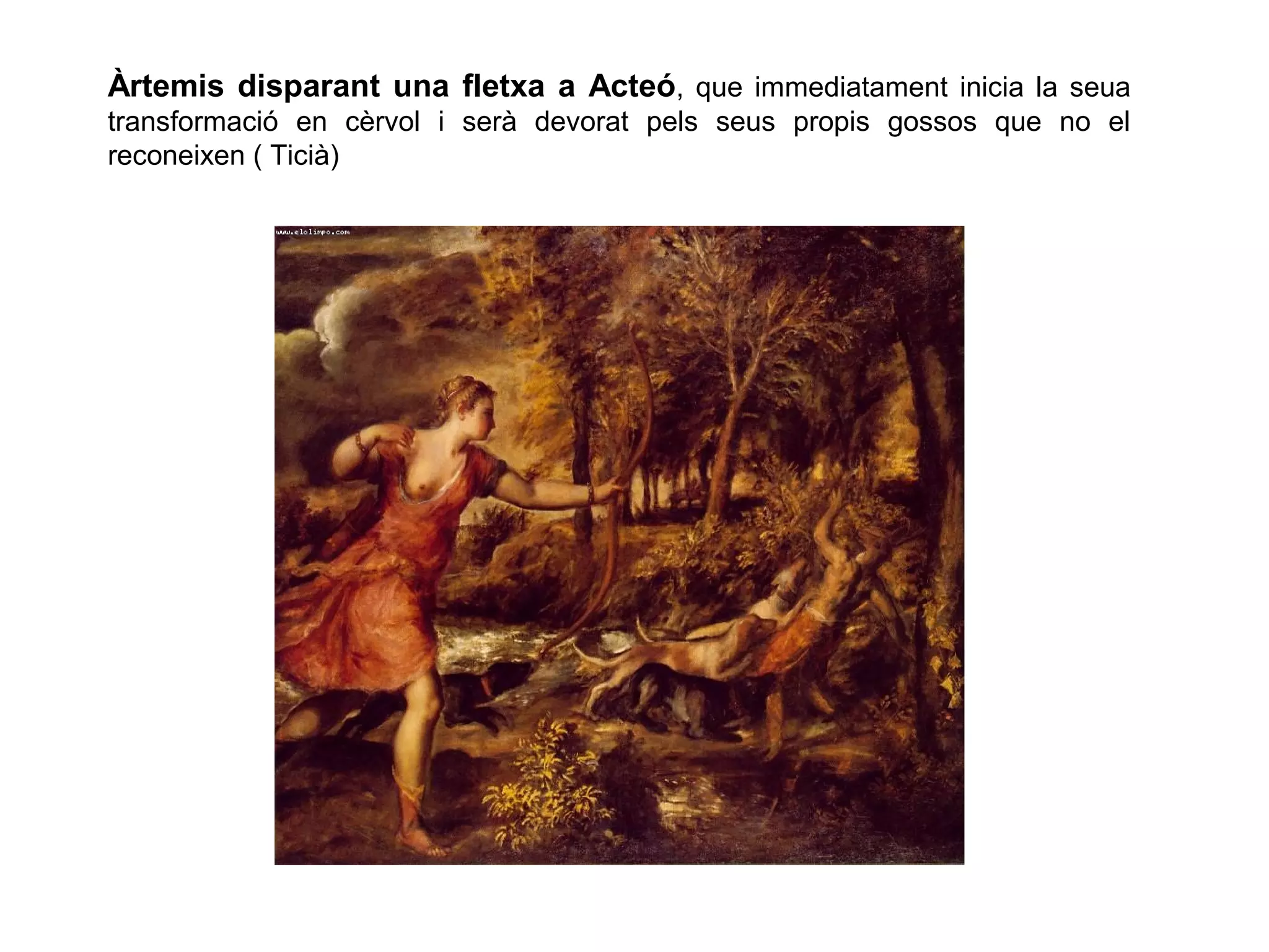 Àrtemis disparant una fletxa a Acteó, que immediatament inicia la seua
transformació en cèrvol i serà devorat pels seus propis gossos que no el
reconeixen ( Ticià)
 