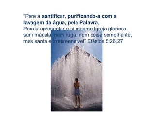“Para a santificar, purificando-a com a
lavagem da água, pela Palavra,
Para a apresentar a si mesmo Igreja gloriosa,
sem mácula, nem ruga, nem coisa semelhante,
mas santa e irrepreensível” Efésios 5:26,27
 