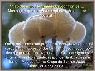 Que consigamos não prender o choro, não conter a gargalhada, não esconder tanto o nosso medo, não desejar parecer tão invencíveis... Que consigamos tentar não controlar tanto, responder tanto, competir tanto... Mas confiar na Graça do Senhor Jesus Cristo , que nos basta...  " Não devemos ter medo dos confrontos....   Mas sugiro que deixemos explodir toda a nossa doçura!  " 