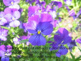 Quando você está cansado e desencorajado
por esforços que não deram frutos,
Deus sabe o quanto você tentou...
 