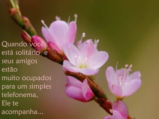 Quando você
está solitário e
seus amigos
estão
muito ocupados
para um simples
telefonema,
Ele te
acompanha...
 