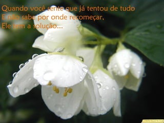 Quando você sente que já tentou de tudo
E não sabe por onde recomeçar,
Ele tem a solução...
 