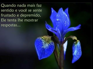 Quando nada mais faz
sentido e você se sente
frustado e depremido,
Ele tenta lhe mostrar
respostas...
 