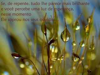 Se, de repente, tudo lhe parece mais brilhante
e você percebe uma luz de esperança,
nesse momento
Ele soprou nos seus ouvidos...
 