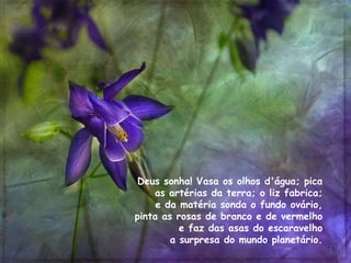 Deus sonha! Vasa os olhos d'água; pica  as artérias da terra; o liz fabrica;  e da matéria sonda o fundo ovário,  pinta as rosas de branco e de vermelho  e faz das asas do escaravelho  a surpresa do mundo planetário.  
