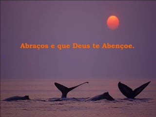 Abraços e que Deus te Abençoe.
 