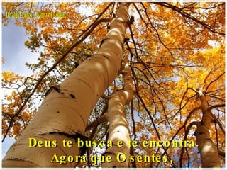 Divaldo Franco / Joanna de Ângelis Deus te busca e te encontra. Agora que O sentes,  