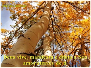Divaldo Franco / Joanna de Ângelis Deus vive, manifesta e dilata o Seu amor através de ti. 