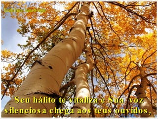 Divaldo Franco / Joanna de Ângelis Seu hálito te vitaliza e Sua  voz silenciosa chega aos teus ouvidos,  