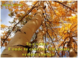Divaldo Franco / Joanna de Ângelis Tu o sabes... E onde tu estiveres Ele estará sempre contigo. 