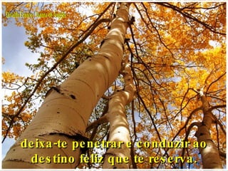 Divaldo Franco / Joanna de Ângelis deixa-te penetrar e conduzir ao destino feliz que te reserva. 