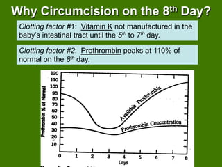 Why Circumcision on the 8th Day?
 Clotting factor #1: Vitamin K not manufactured in the
 baby’s intestinal tract until the 5th to 7th day.

 Clotting factor #2: Prothrombin peaks at 110% of
 normal on the 8th day.
 