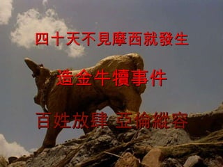 四十天不見摩西就發生 造金牛犢事件 百姓放肆 亞倫縱容 