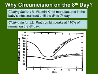 Why Circumcision on the 8Why Circumcision on the 8thth
Day?Day?
Clotting factor #1: Vitamin K not manufactured in the
baby’s intestinal tract until the 5th
to 7th
day.
Clotting factor #2: Prothrombin peaks at 110% of
normal on the 8th
day.
 