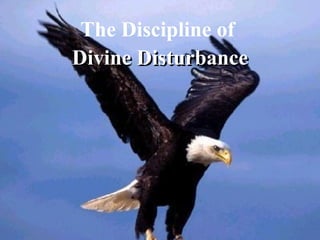 The Discipline of  Divine Disturbance 
