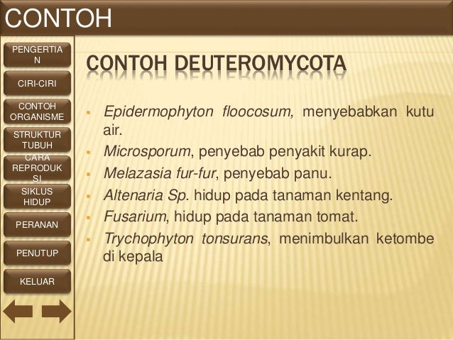 Cara Ubat Kutu Air - Berubat 1