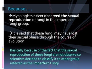 Mycologists never observed the sexual reproduction of fungi in the imperfect fungi group.It is said that these fungi may have lost their sexual phase through the course of evolution Because...Basically because of the fact that the sexual reproduction of these fungi are not observe so scientists decided to classify it to other group referred as the Imperfect Fungi