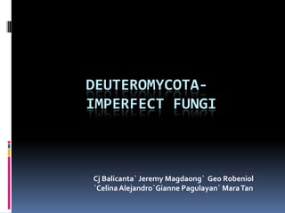 Deuteromycota-  Imperfect Fungi Cj Balicanta` Jeremy Magdaong`  Geo Robeniol `Celina Alejandro`Gianne Pagulayan` Mara Tan 