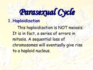 Parasexual cycle Deuteromycota Haploidization This haploidization is NOT meiosis. It is in fact, a series of errors in mitosis. A sequential loss of chromosomes will eventually give rise to a haploid nucleus. Parasexual Cycle 