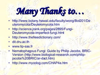 Many Thanks to… http://www.botany.hawaii.edu/faculty/wong/Bot201/Deuteromycota/Deuteromycota.htm   http://science.jrank.org/pages/2895/Fungi-Deuteromycota-imperfect-fungi.html   http://www.thefreedictionary.com/ dit.dru.ac.th www.lip-sas.fr  Nematophagous Fungi: Guide by Philip Jacobs, BRIC-Version (http://www.biological-research.com/philip-jacobs%20BRIC/ar-dact.htm) http://www.mycolog.com/CHAP4a.htm 