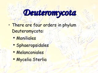 Deuteromycota Deuteromycota There are four orders in phylum Deuteromycota: Moniliales Sphaeropsidales Melanconiales Mycelia Sterlia Deuteromycota 