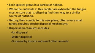 • Each species grows in a particular habitat.
• When the nutrients in this habitat are exhausted the fungus
must ensure that its offspring find their way to a similar
source of nutrition.
• Getting their conidia to this new place, often a very small
target, requires precise dispersal mechanisms.
• Dispersal mechanisms includes:
-Air dispersal
-Water dispersal
-Dispersal by insects and small other animals.
 