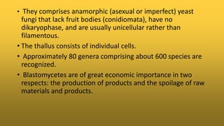 • They comprises anamorphic (asexual or imperfect) yeast
fungi that lack fruit bodies (conidiomata), have no
dikaryophase, and are usually unicellular rather than
filamentous.
• The thallus consists of individual cells.
• Approximately 80 genera comprising about 600 species are
recognized.
• Blastomycetes are of great economic importance in two
respects: the production of products and the spoilage of raw
materials and products.
 