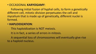 • OCCASIONAL KARYOGAMY:
Following initial fusion of hyphal cells, to form a genetically
different cell, mitotic division perpetuates the cell and
mycelium that is made up of genetically, different nuclei is
formed.
• HAPLOIDIZATION:
This haploidization is NOT meiosis.
It is in fact, a series of errors in mitosis.
A sequential loss of chromosomes will eventually give rise
to a haploid nucleus.
 