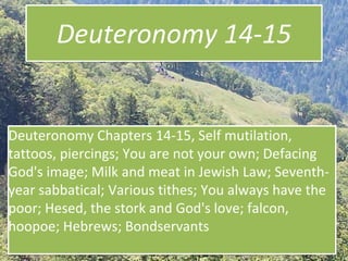 Deuteronomy 14-15
Deuteronomy Chapters 14-15, Self mutilation,
tattoos, piercings; You are not your own; Defacing
God's image; Milk and meat in Jewish Law; Seventh-
year sabbatical; Various tithes; You always have the
poor; Hesed, the stork and God's love; falcon,
hoopoe; Hebrews; Bondservants
 