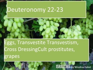 Deuteronomy 22-23
Eggs, Transvestite Transvestism,
Cross DressingCult prostitutes,
grapes
 