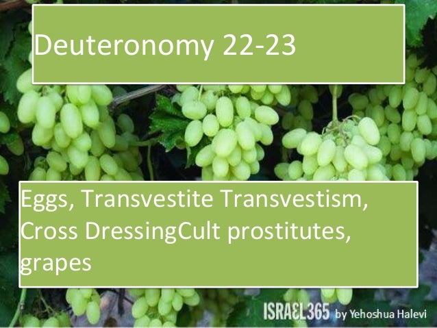 Deuteronomy 22 23 Eggs Transvestite Transvestism Cross Dressing Cu
