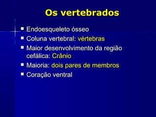 Os vertebrados
   Endoesqueleto ósseo
   Coluna vertebral: vértebras
   Maior desenvolvimento da região
    cefálica: Crânio
   Maioria: dois pares de membros
   Coração ventral
 